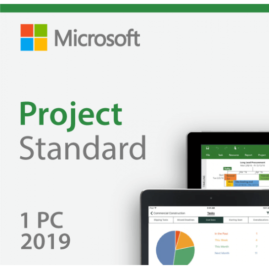 Microsoft Project Standard 2019