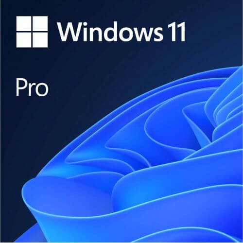 Windows 11 Professionnel - (64Bits)