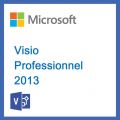 Visio Professionnel 2013