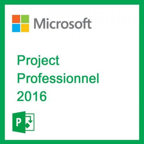 Microsoft Project Professionnel 2016