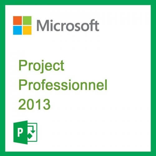Microsoft Project Professionnel 2013